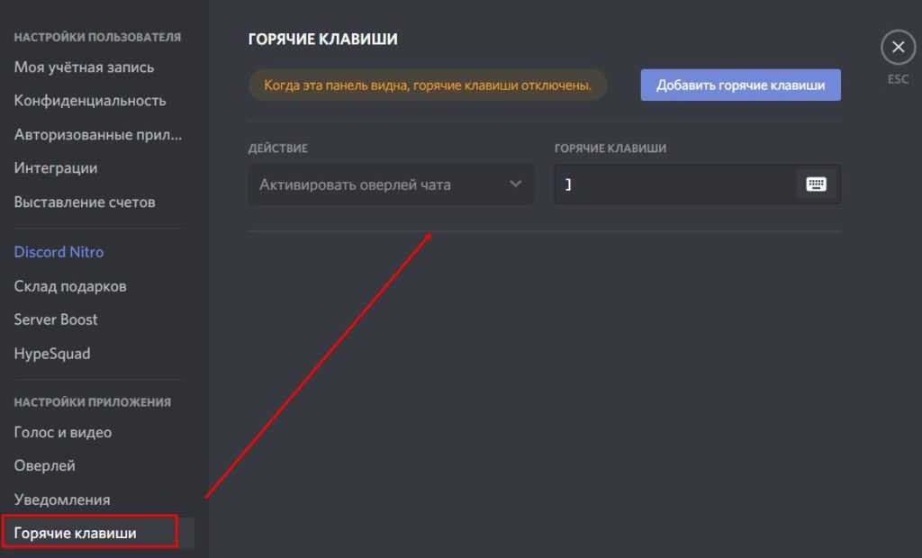 Полный гайд по командам discord - iceforge.ru