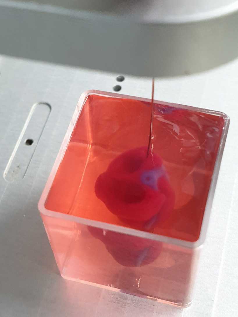 3d биопечать - 3d bioprinting