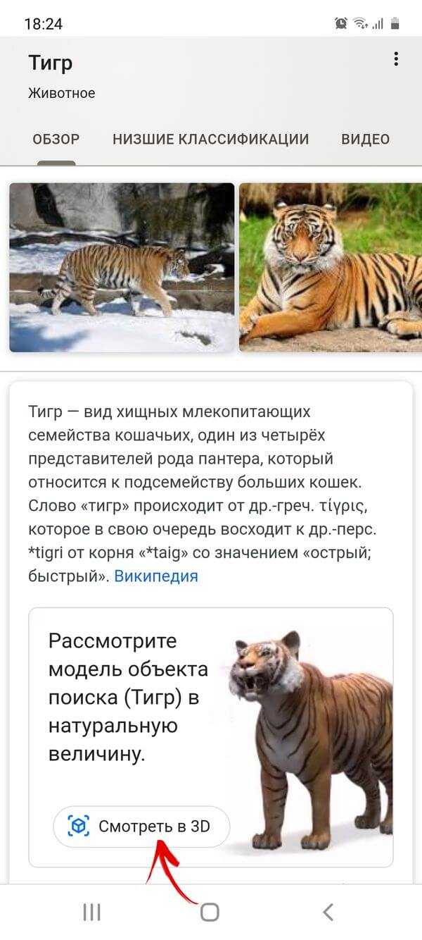 Как сделать фото или видео тигра и других 3D животных в Google на iPhone