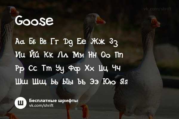 Ds goose - скачать шрифт бесплатно на allfont.ru