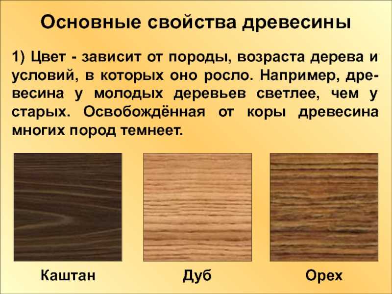 Выявление текстуры древесины с помощью красителей