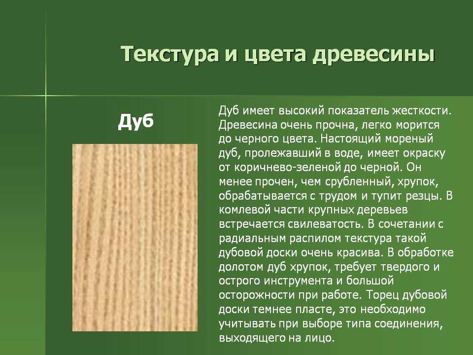 Основные характеристики древесины