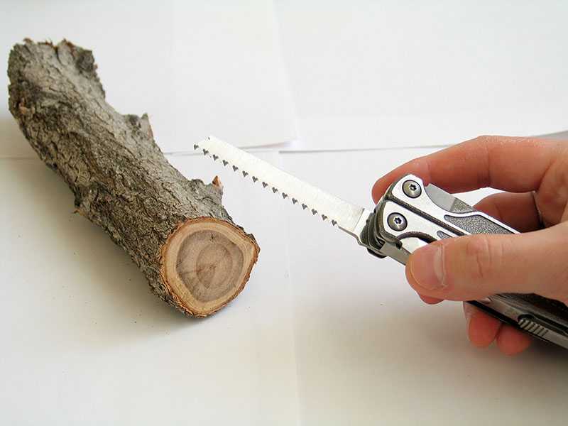 Какое дерево для резьбы по дереву. дерево для резьбы по дереву: выбор породы и качества древесины