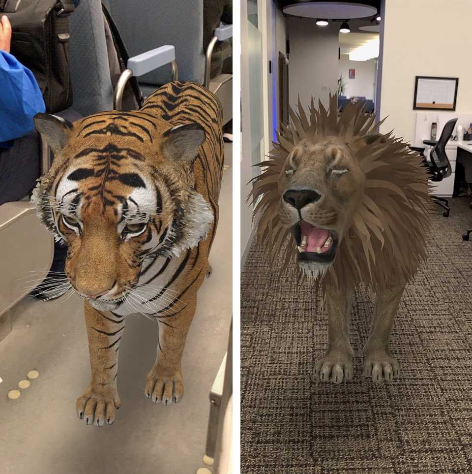 Животные в реальности. Гугл животные в 3д тигр. Тигр дополненная реальность. Тигр в 3d реальности. Дополненная реальность с животными.