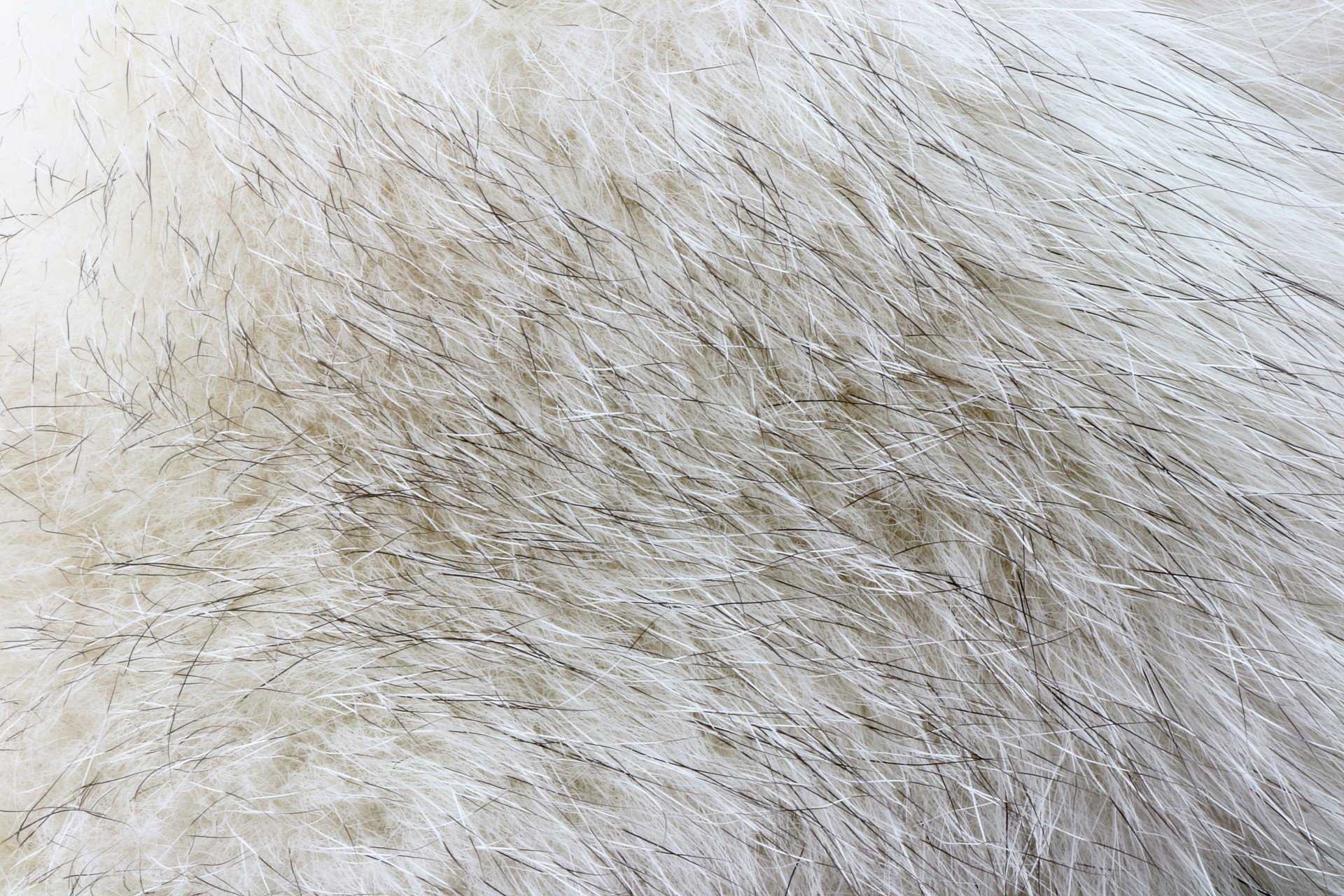 Воздействие текстурных слоев на материал fur. способы использования