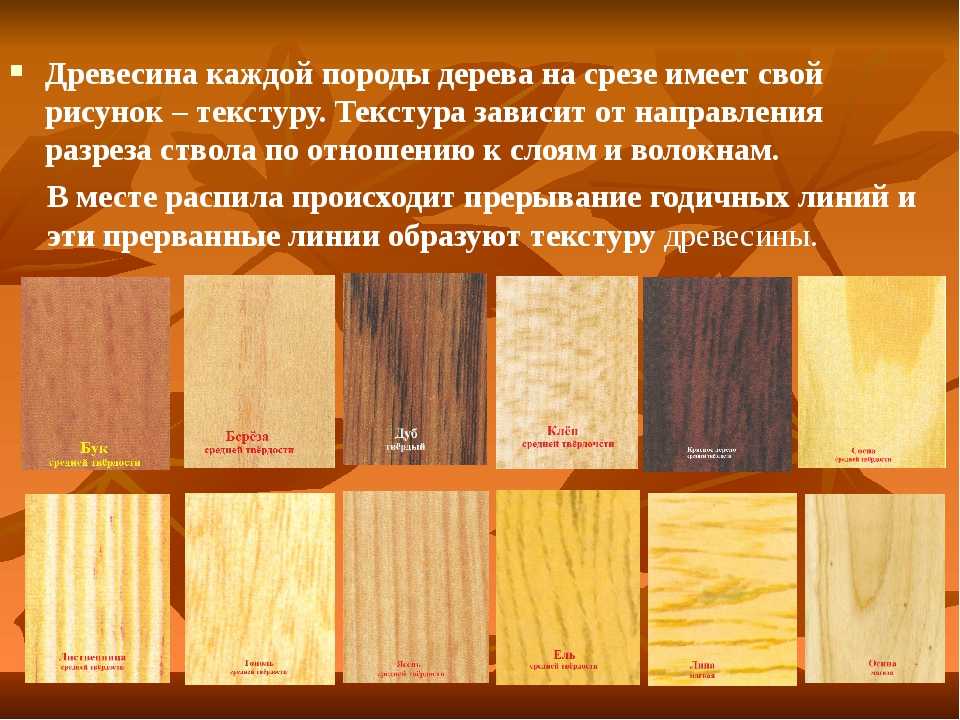 Процедурная текстура wood. имитация пород дерева. | mymodo.ru
