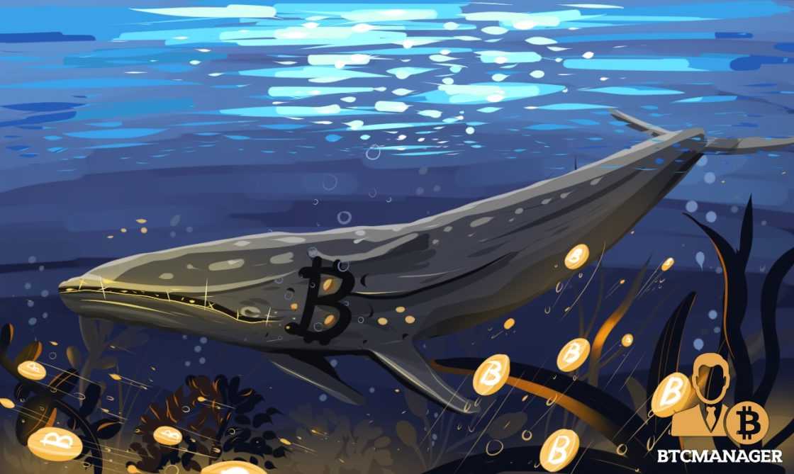 Что такое игра «синий кит»?