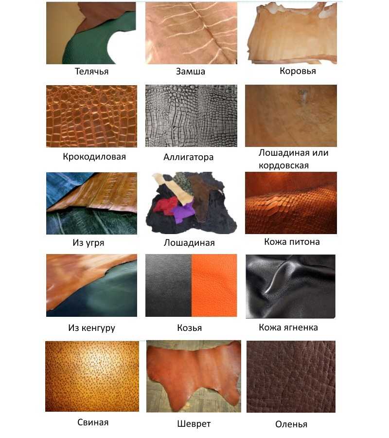 Хорошее собрание качественных текстур кожи рептилий Качайте бесплатно на нашем сайте