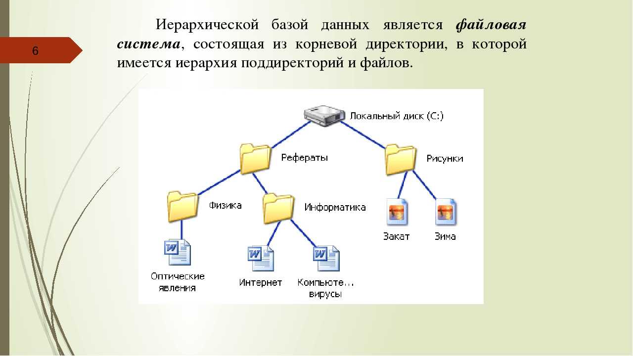 Иерархического способа организации данных. Схема иерархической базы данных. Структура файловой системы БД. Иерархическая модель БД. Иерархическая файловая система ПК.