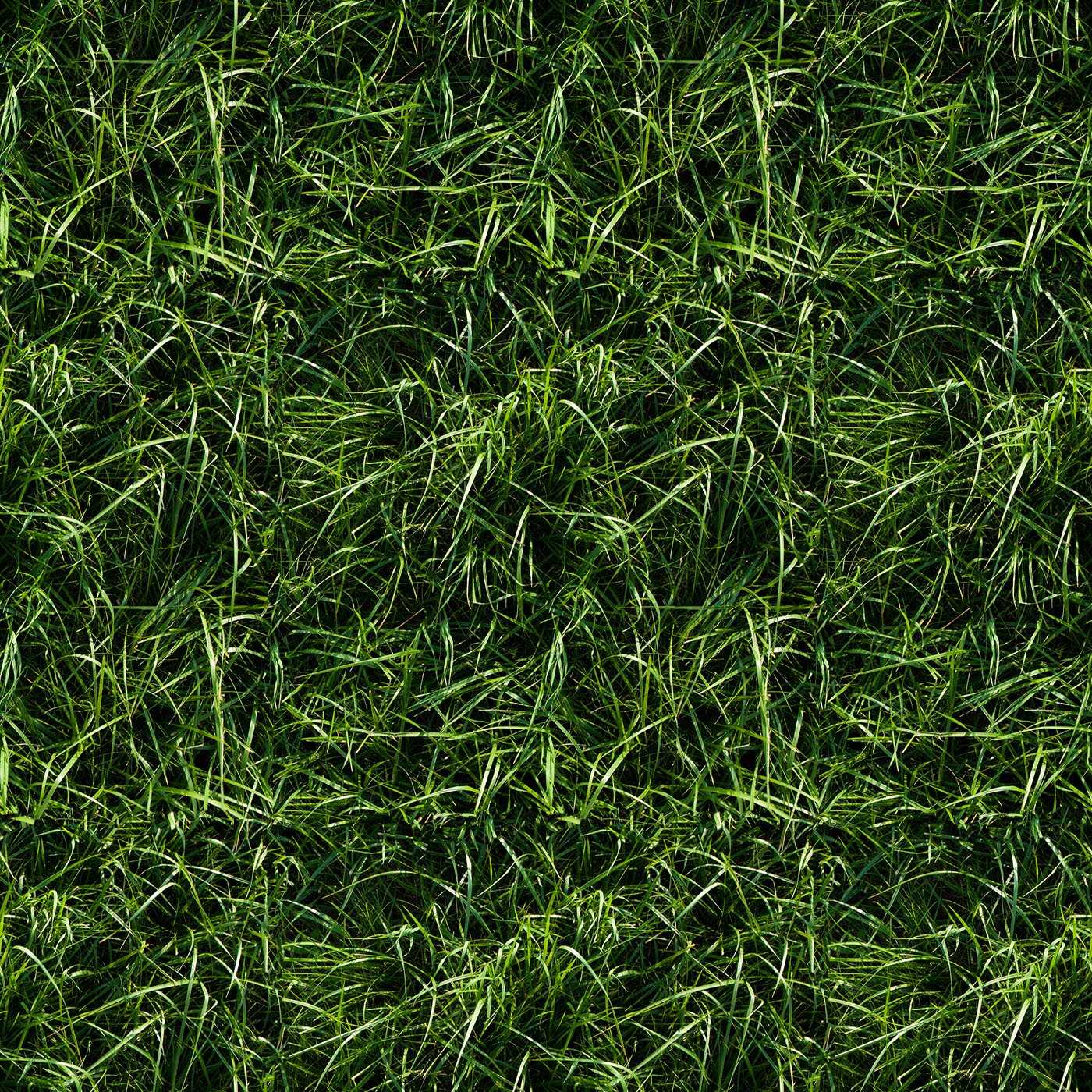 Бесшовные текстуры травы 3d model
