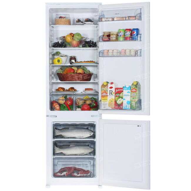 Холодильник 2021 – самые новые модели, ожидающие покупателей | apptoday