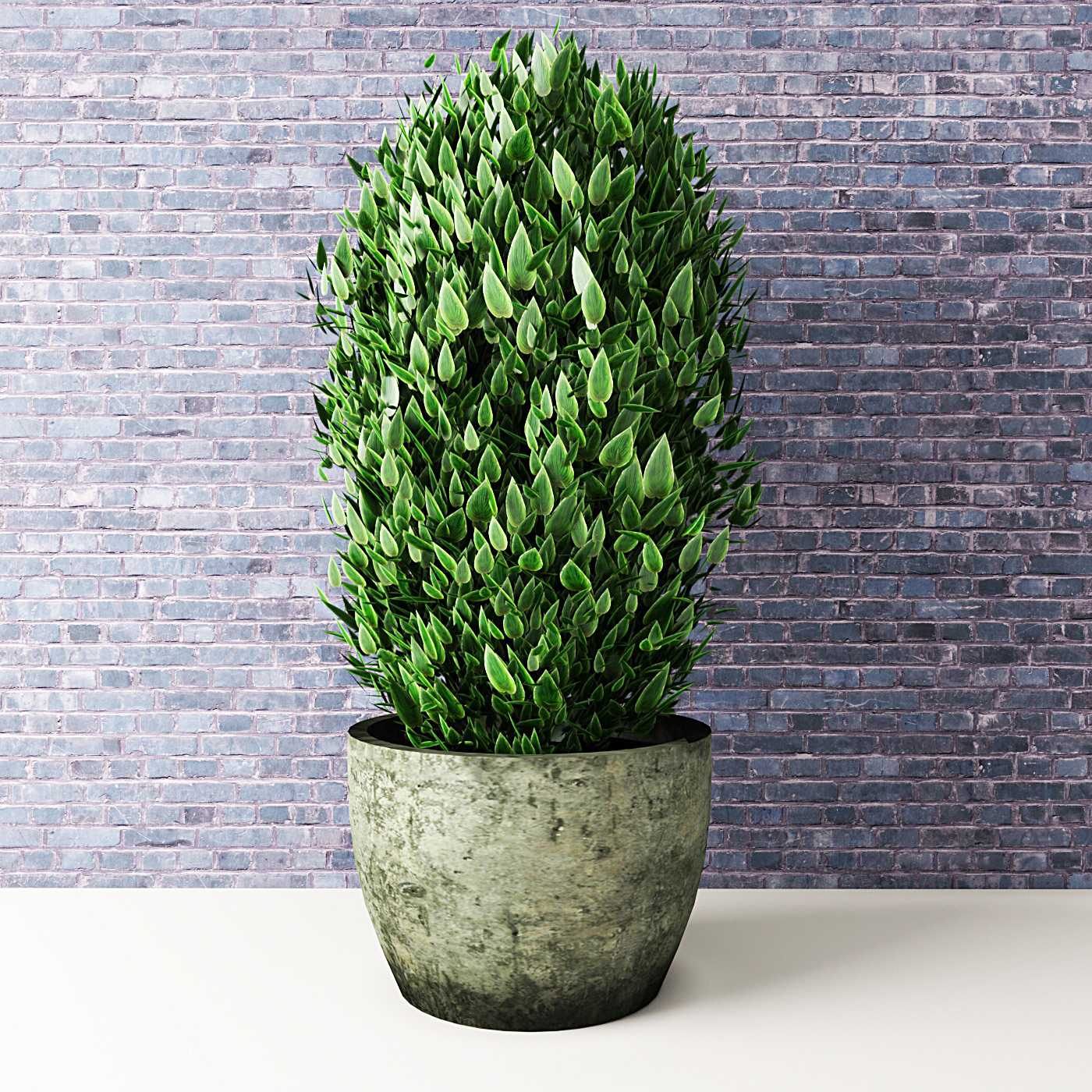 3dlancernet  Комнатные растения  Растения  Скачать 3d Модели Для 3d Визуализации  Каталог 3d Моделей  Для 3d Max И Других Программ