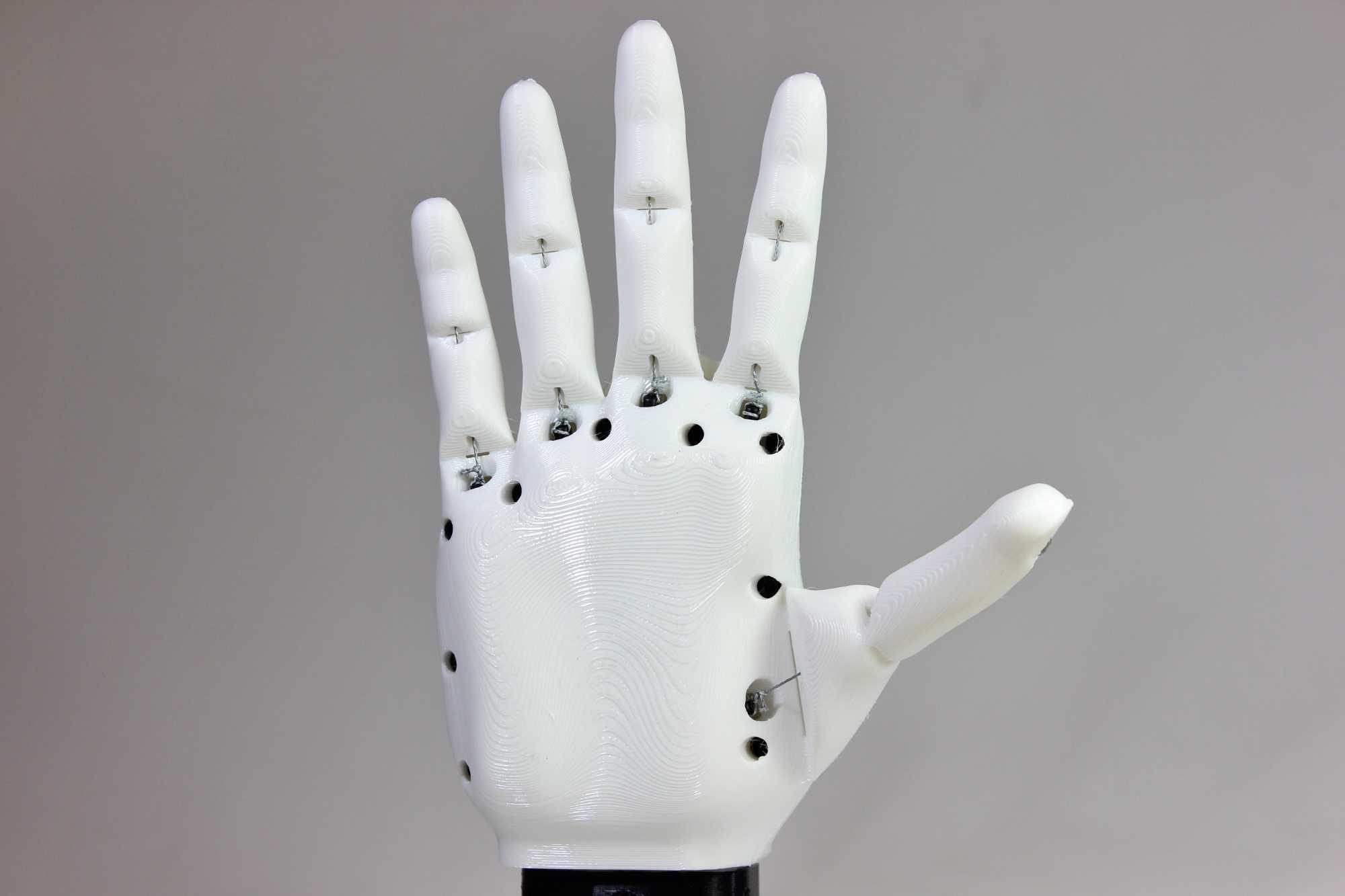 3д-модель протез кисти руки человека