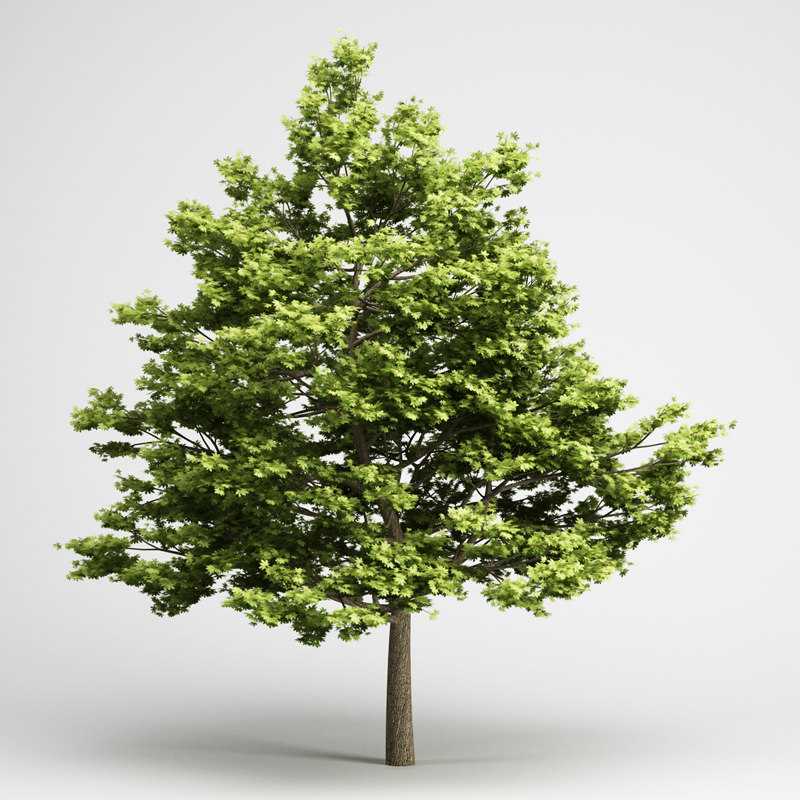 Создание материала дерева в 3d max