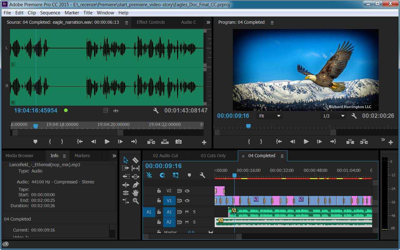 К отснятому сюжету необходимо добавить спецэффекты и наложить звук, которые могли бы усилить визуальную подачу материала Для этих целей и предназначена программа профессионального видеомонтажа Adobe Premier Pro