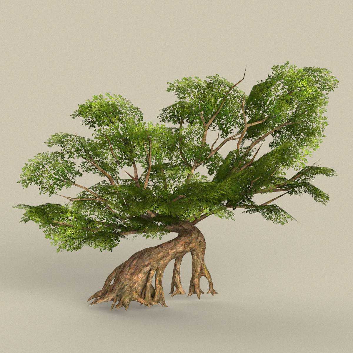 Sketchup plants, trees, and shrubs archive
sketchup plants, trees, and shrubs archive