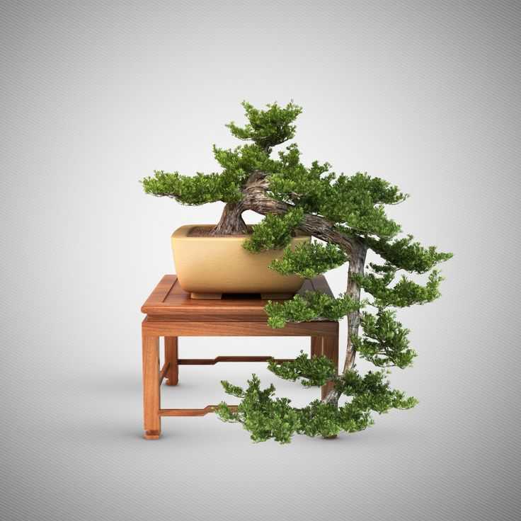 3dlancernet  Деревья  Растения  Скачать 3d Модели Для 3d Визуализации  Каталог 3d Моделей  Для 3d Max И Других Программ