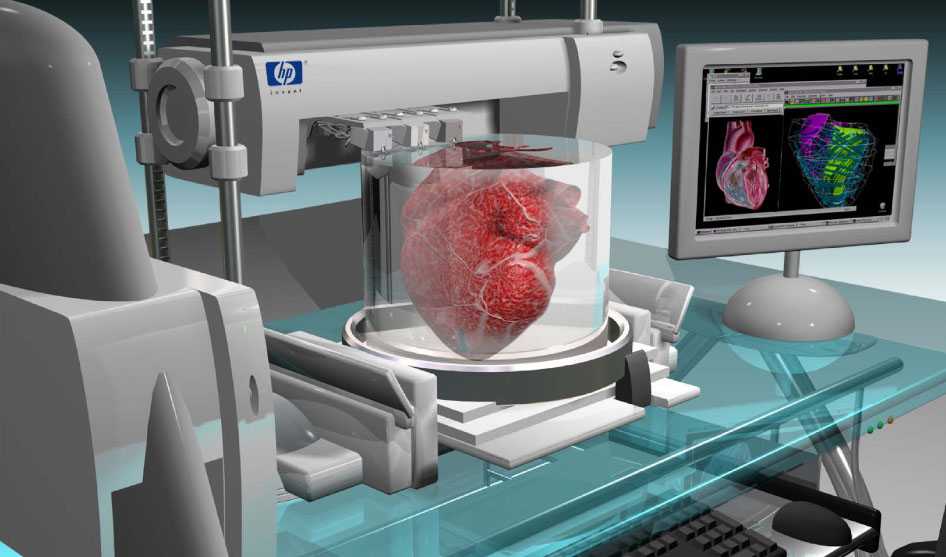 Бионическое бессмертие. какие органы может напечатать 3d принтер человеку?