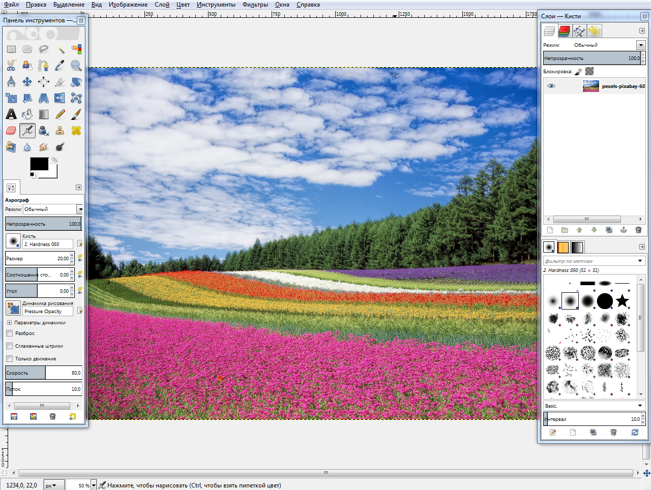 Обзор программы PaintShop Pro, что представляет из себя программа для обработки фото от Coral Как установить, правила пользования, преимущества, недостатки Отзывы пользователей, список аналогов
