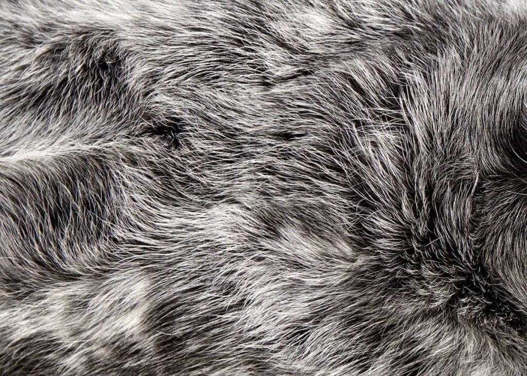 Слои материалов и многослойный материал Fur. 