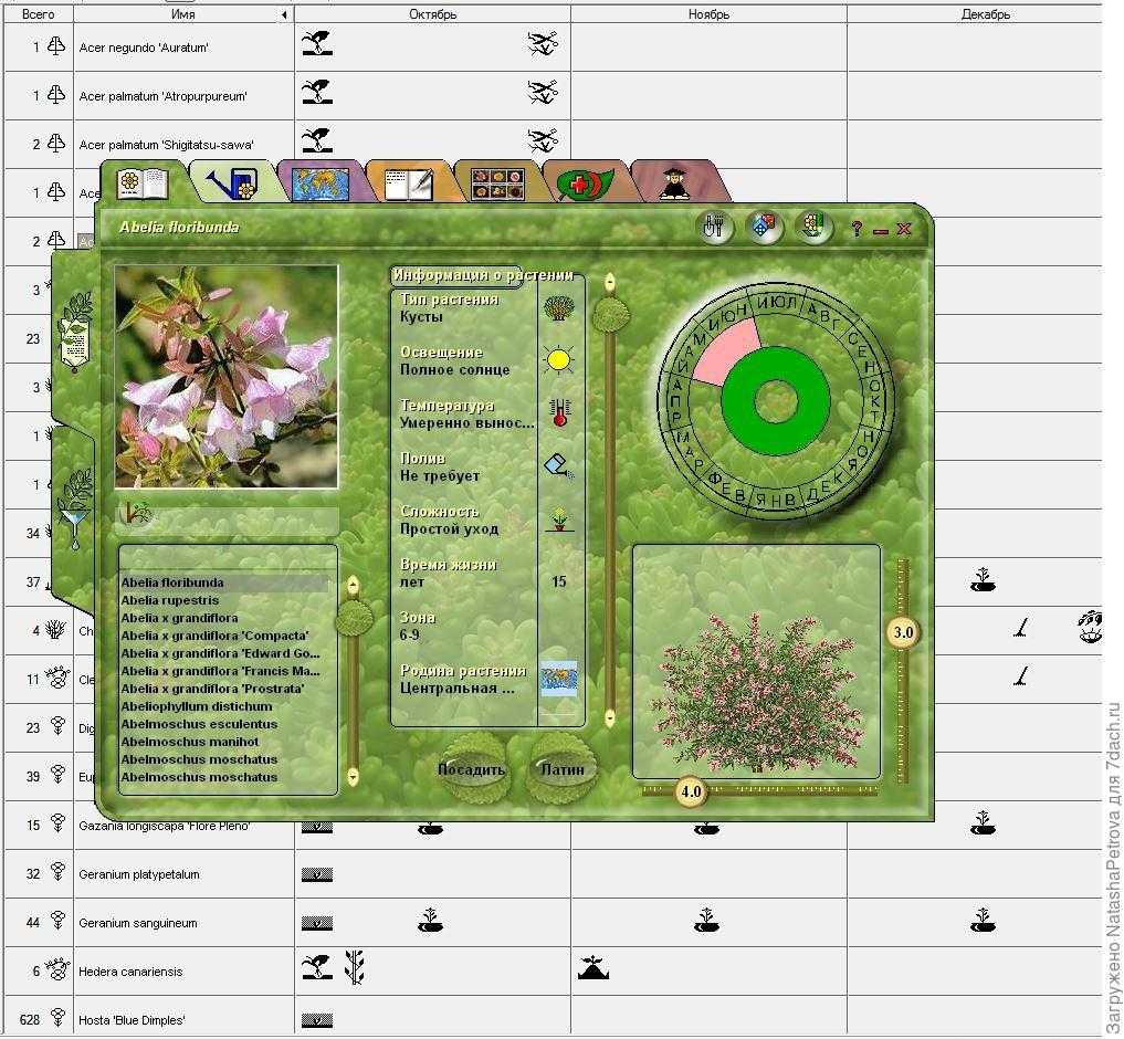 Что такое Realtime landscaping architect, можно ли скачать программу на русском языке бесплатно Описание ландшафтной утилиты, функции, возможности База растений, модели, отзывы пользователей