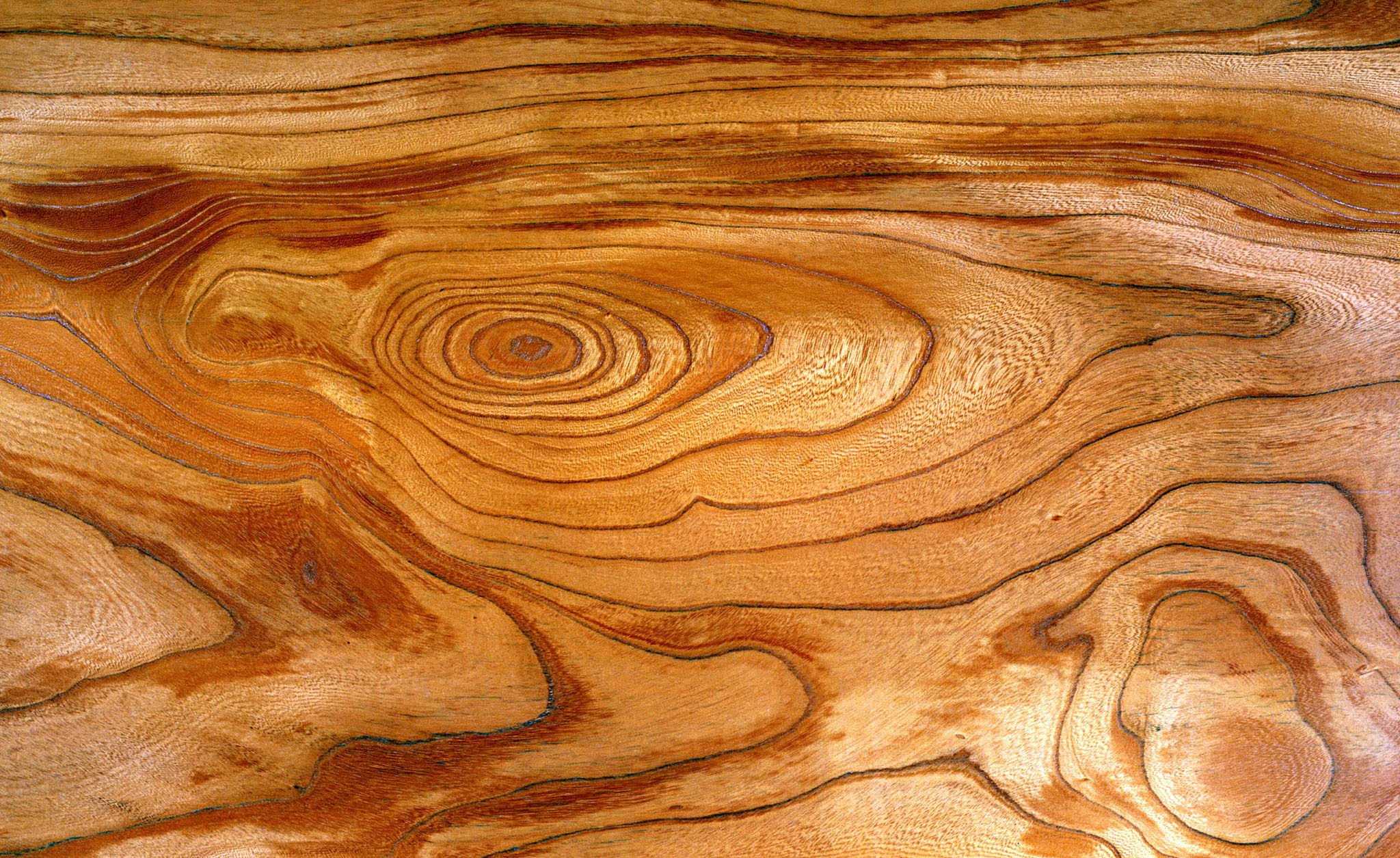 Кедр текстура древесины