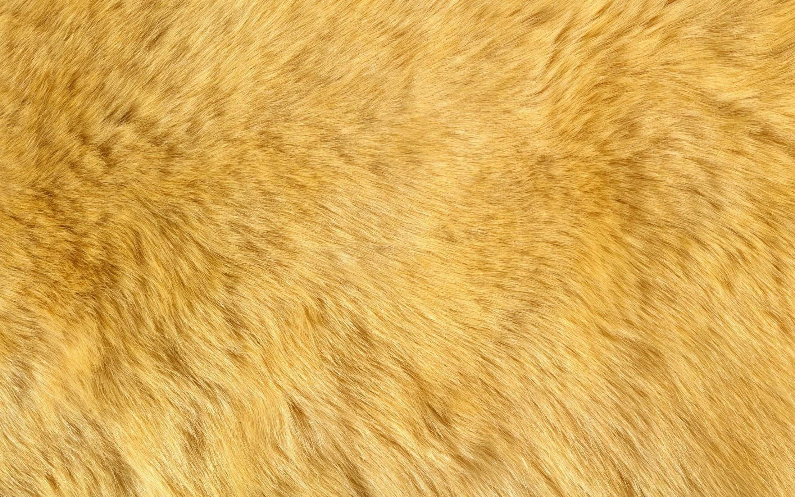 Воздействие текстурных слоев на материал fur. способы использования | mymodo.ru